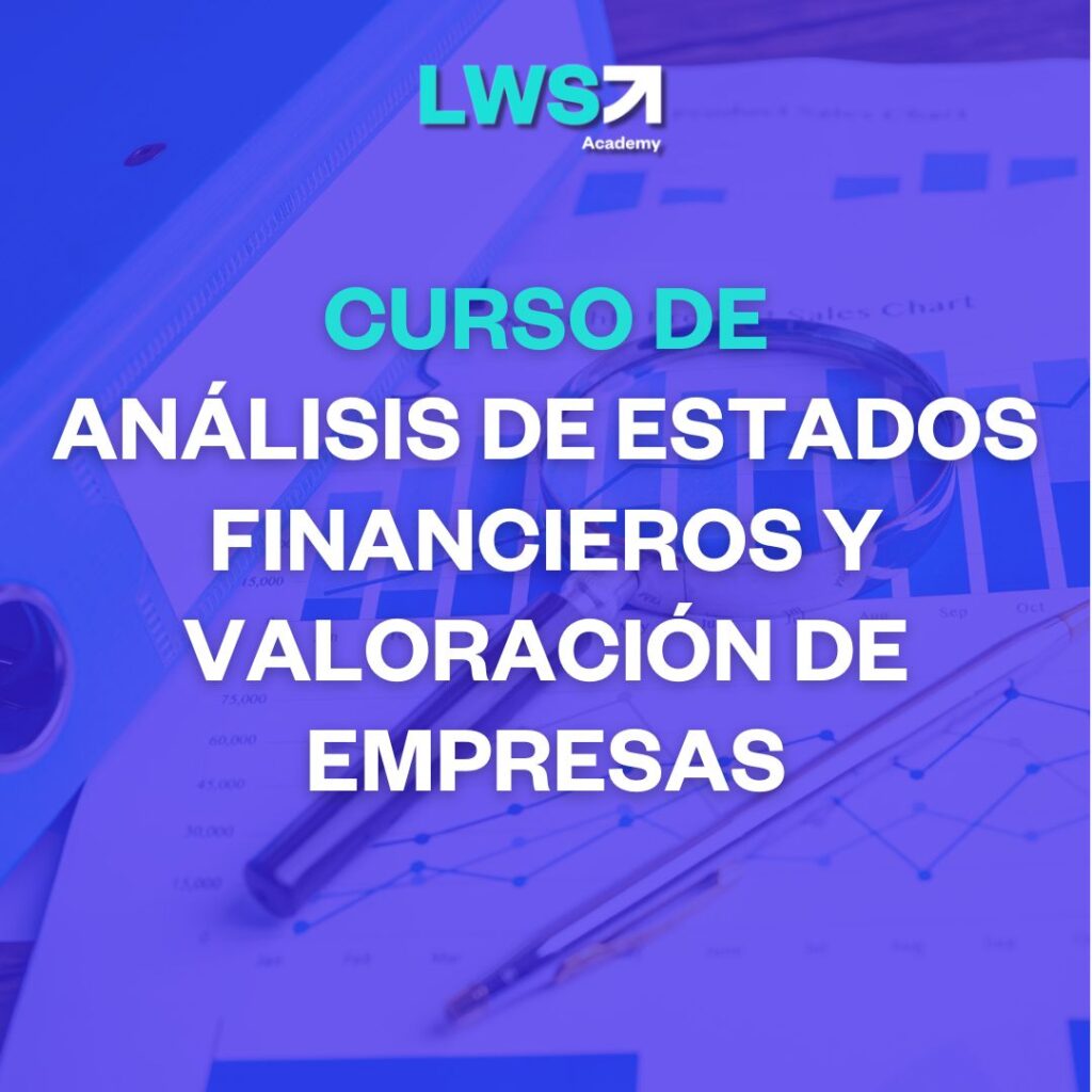 Análisis y Valoración de Estados Financieros (6º Edición)