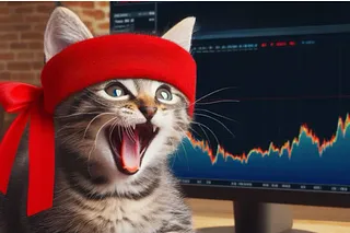 639f07cb-4610-4de6-b74c-87703bb69908_775x435